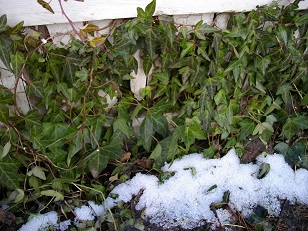 �����������������C���[�W